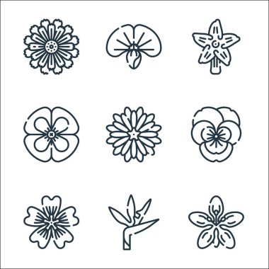 Çiçek çizgisi simgeleri. Doğrusal küme. çiçek, çiçek, çiçek gibi kalite vektör çizgisi,