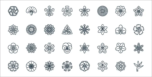 Flowers Line Icons Linear Set Quality Vector Line Set Flower — Stock Vector