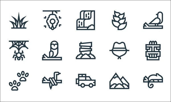 Jungle Line Icons Linear Set Quality Vector Line Set Chameleon — Stock Vector