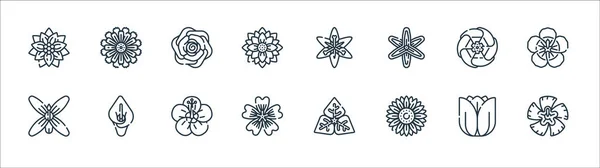 Flowers Line Icons Linear Set Quality Vector Line Set Flower — Stock Vector