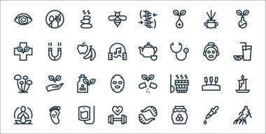 Alternatif tıp çizgisi simgeleri. Doğrusal küme. Ginseng, bal, fitness, yoga, akupunktur, homeopati, portakal suyu, çaydanlık, mıknatıs gibi kalite vektör dizileri