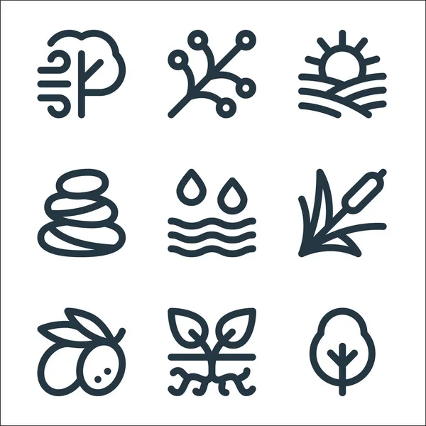Nature Line Symbole Lineares Set Qualitätsvektorlinienset Wie Baum Pflanze Olive — Stockvektor