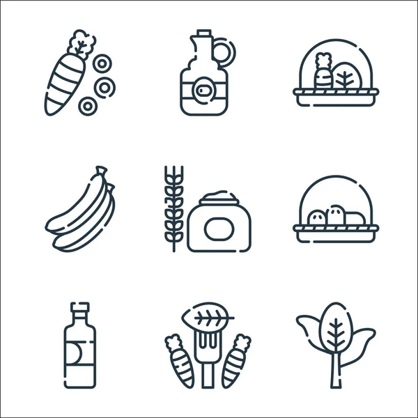 Iconos Línea Comida Vegana Conjunto Lineal Conjunto Línea Vectorial Calidad — Vector de stock