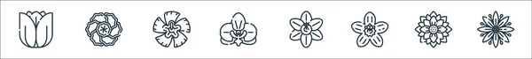 Flores Línea Iconos Conjunto Lineal Conjunto Línea Vectorial Calidad Como — Vector de stock