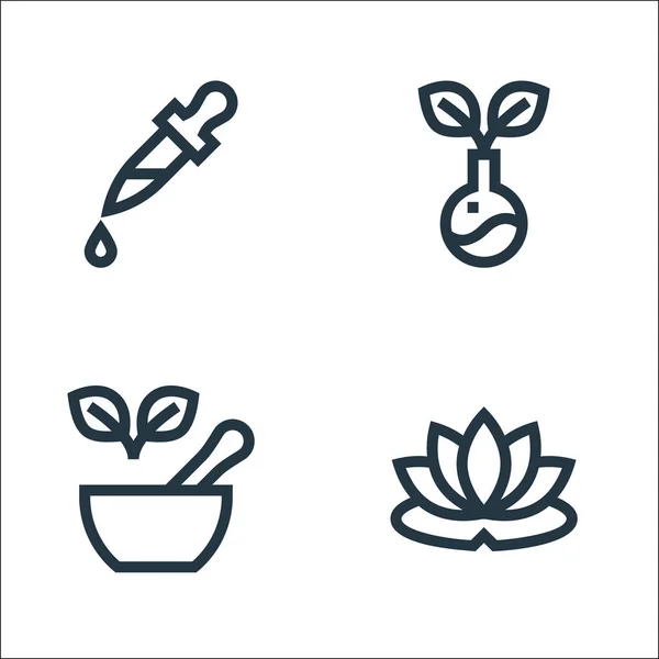 Symbole Der Alternativen Medizin Lineares Set Qualitätsvektorlinienset Wie Lotusblume Mörser — Stockvektor
