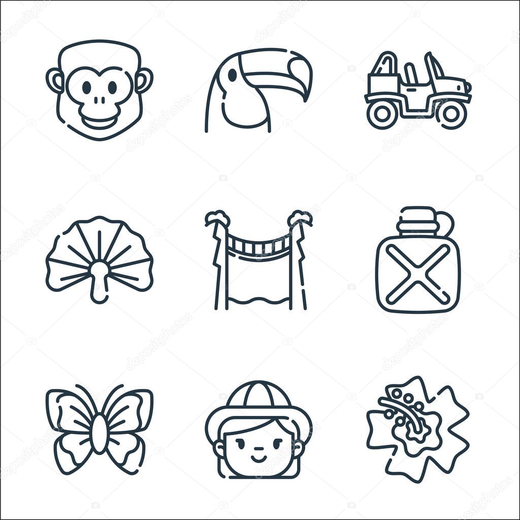 jungle line icons. linear set. quality vector line set such as flower, girl, butterfly, canteen, bridge, fern, buggy, toucan