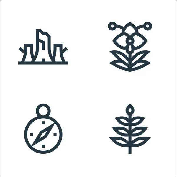 Symbole Der Dschungel Linie Lineares Set Qualitätsvektorlinienset Wie Blätter Kompass — Stockvektor