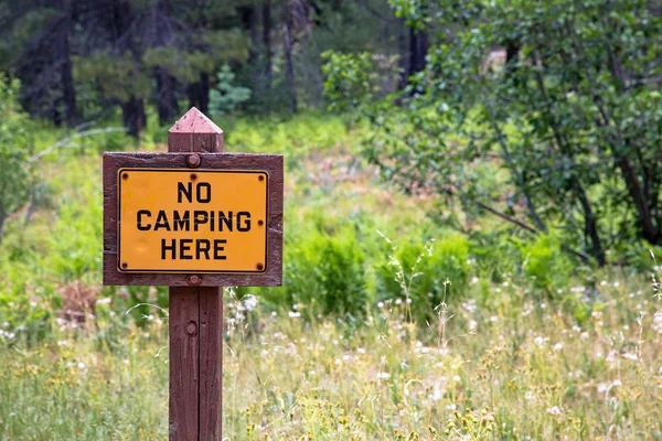 Wood Sign Post Text Camping Here Forest Field — Stock Photo, Image