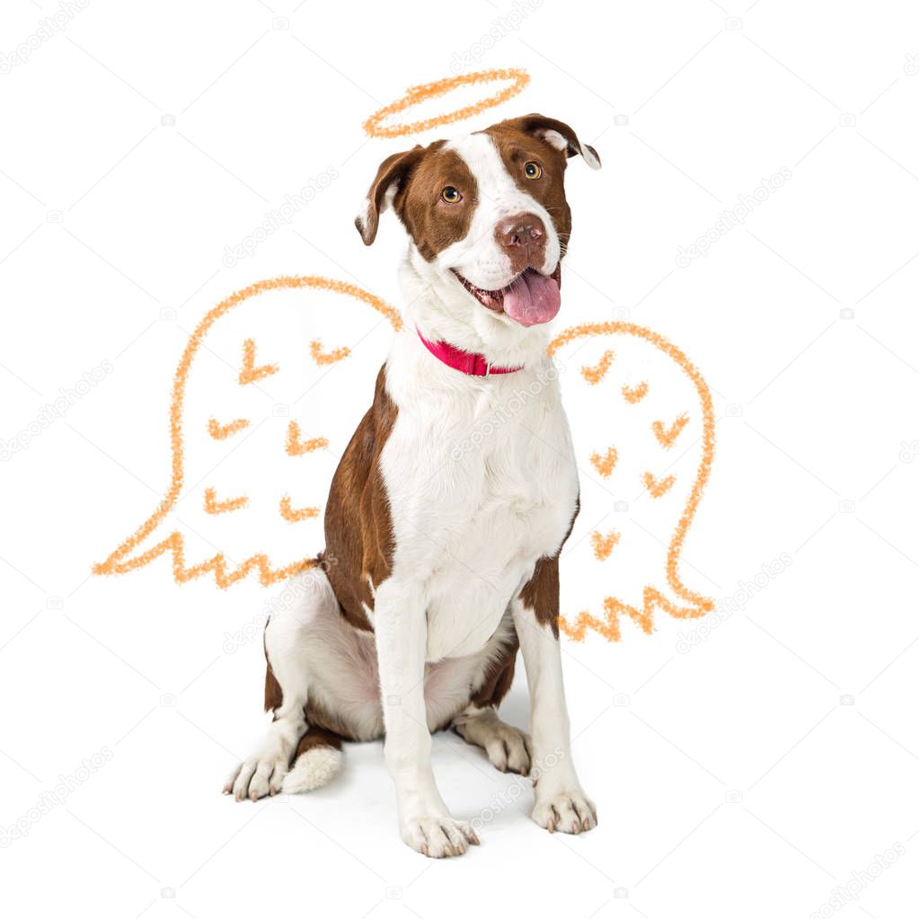 Concept of innocent good dog with crayon drawing of angel wings and golden halo
