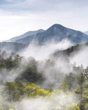 Alçak bulutlar dağ başında Tennessee, ABD büyük Smoky Dağları Milli Parkı kapsayan