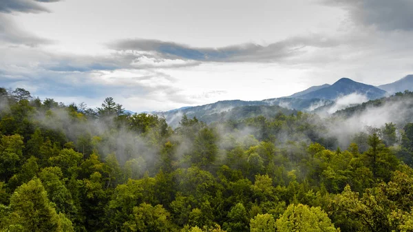 从加特林堡 田纳西州 美国的大黑烟山脉国家公园风景秀丽的风景 — 图库照片