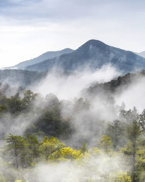 Basse Nuvole Che Ricoprono Cime Delle Montagne Nel Great Smoky — Foto Stock