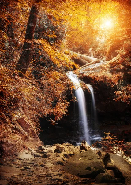 Kaskadierende Wasserfall Wäldern Der Großen Rauchigen Berge Nationalpark Mit Warmen — Stockfoto