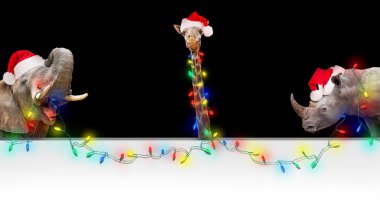 Komik hayvanlar üzerinde boş beyaz poster parlak Noel tatil dize ışıklar holding Noel Baba şapkaları giyiyor