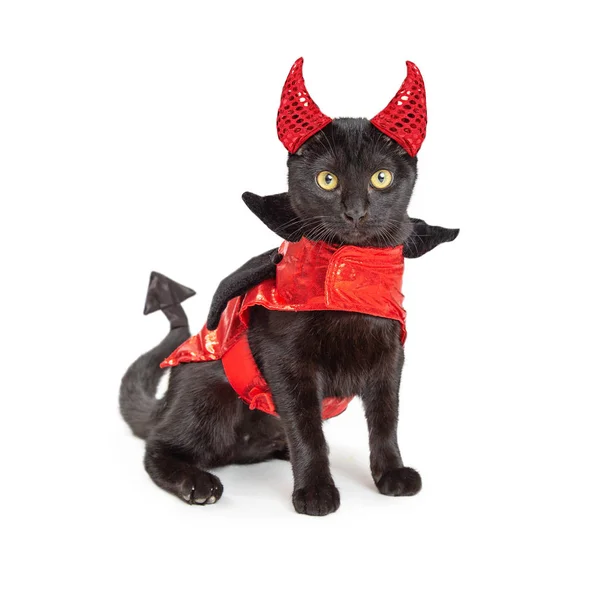 Cute Black Kitten Wearing Funny Red Devil Costume Horns Pointed — Stock Photo, Image