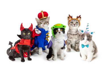 Beyaz arka plan üzerinde Halloween kostümleri giyen sevimli yavru kedi grubu
