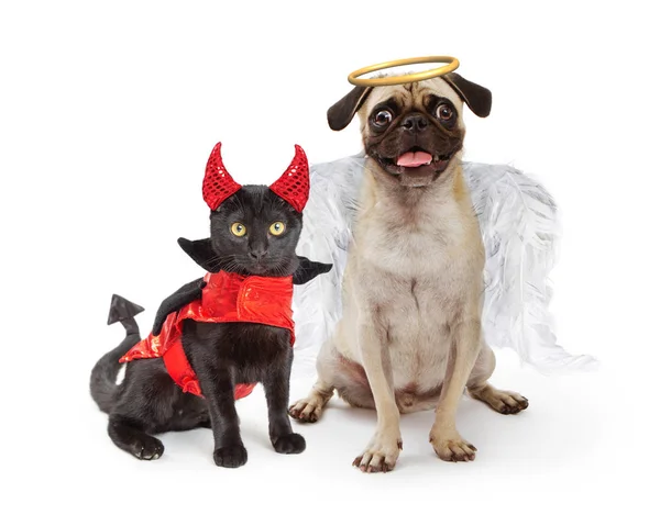 Foto Engraçada Gato Vestindo Traje Diabo Cachorro Vestido Como Anjo — Fotografia de Stock