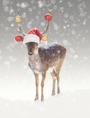 Komik Noel reindeer süsler ve Noel Baba şapkası giyiyor 