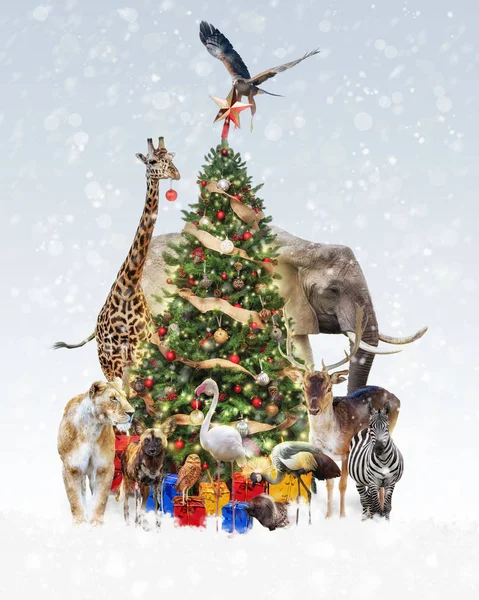 Group Wildlife Zoo Animals Decorating Christmas Tree Falling Snow — Stock Photo, Image