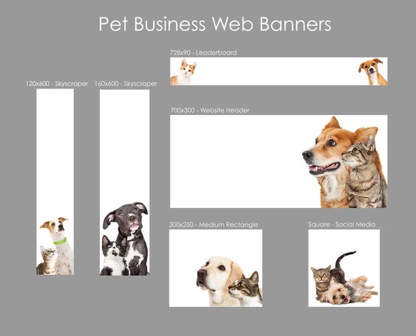 Set Banner Web Varie Dimensioni Con Cani Gatti Pubblicità Commerciale — Foto Stock