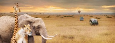 Afrika Safari vahşi safari hayvanlar web afiş veya sosyal medya köşesindeki araç ve sıcak hava balonu ile kapak