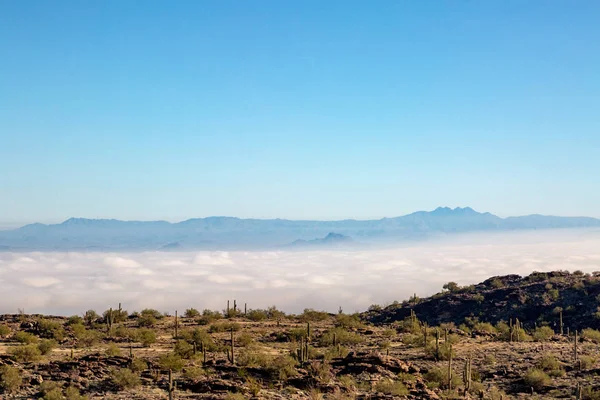 Camada Nuvens Baixas Topo Montanha Phoenix Arizona Com Cacto Saguaro — Fotografia de Stock