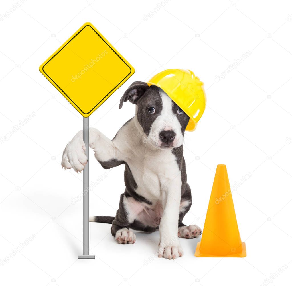 Puppy Holding Blank Construction Sign