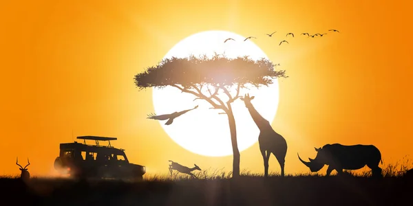 Safari africano tramonto Silhouette Scena — Foto Stock