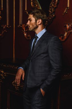 De heybetli klasik iç lüks dairelerinde adam giymiş. Lüks. Erkek güzelliği, moda.