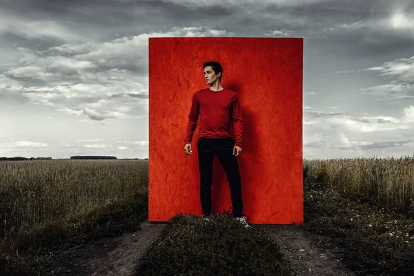 Vogue shot. Handsome male model in stylish casual clothes posing in a field over red background.