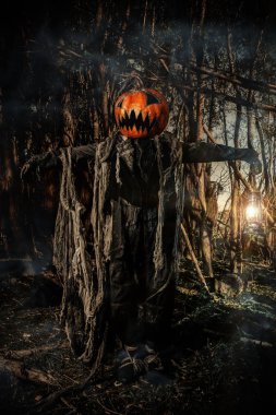 Cadılar Bayramı karakter. Korkunç bir Jack-fener kafasında bir kabak ile gece ormanda dolaşır.