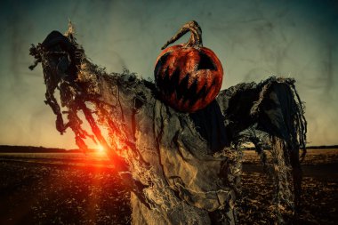 Kafasında bir kabak ile korkunç bir Jack fener portresi. Cadılar Bayramı efsane.