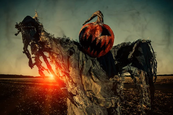 Kafasında bir kabak ile korkunç bir Jack fener portresi. Cadılar Bayramı efsane.