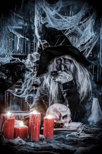 Cadı siyah Kuzgun ile oturuyor. Cadılar Bayramı kavramı. Korku filmi.