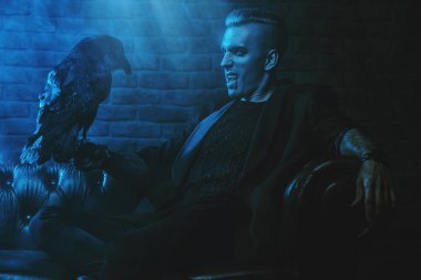 Bir vampir adam kanepede oturan ve bir siyah kuzgun tutarak. Cadılar Bayramı gecesi. Güzellik, moda.