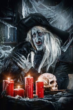 Cadı siyah Kuzgun ile oturuyor. Cadılar Bayramı kavramı. Korku filmi.