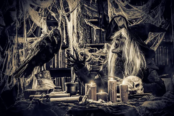 Sitting witch with black raven. Halloween concept. Horror movie.