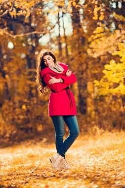 Sonbahar ormanındaki güzel bir genç kadının uzun bir portresi. Yaşam tarzı, sonbahar modası, güzellik. 