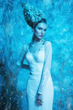 Sıkı bir elbise giyen güzel soğuk bir Bayan portresi. Kar kraliçesi. Güzellik, kozmetik, saç modeli, moda.