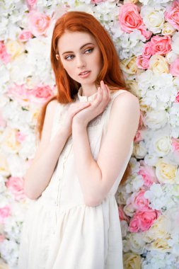 çiçek arka plan üzerinde