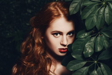 yeşil bitkiler arasında