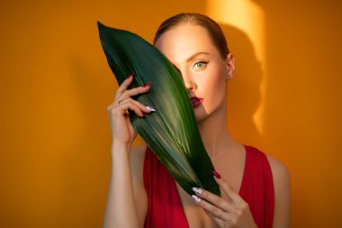 yeşil yaprak arkasında