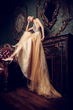 Gizemli Bayan portre