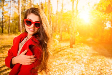 güneşli bir sonbahar orman