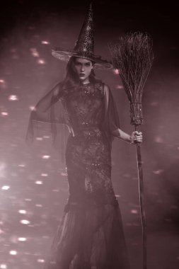 süpürgeyle cadı