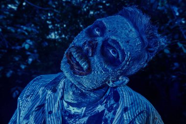 ay ışığında mezarlıkta yaşam