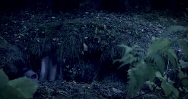 mezarlıkta korkunç kaza