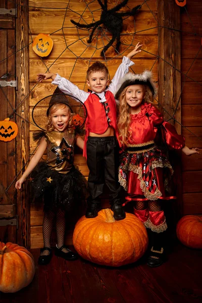 Stock image celebration of halloween