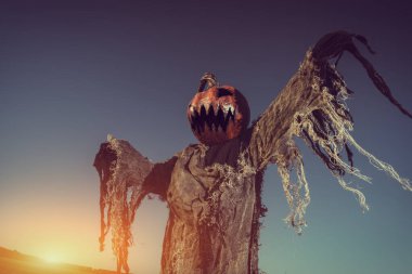 Davetsiz misafirleri korkutup kaçırmak.