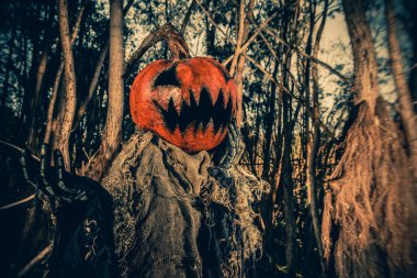 Korkunç balkabağı canavarı.